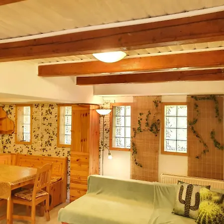 Guest house Kaktusz