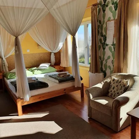 Πανσιόν Kaktusz