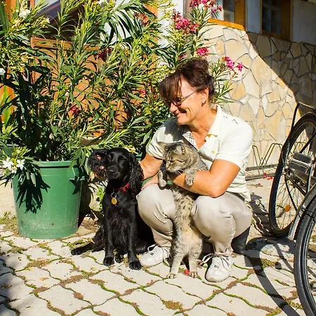 Kaktusz Affittacamere