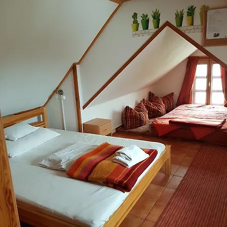 Kaktusz Affittacamere