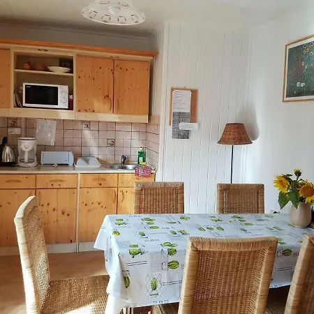 Kaktusz 4*