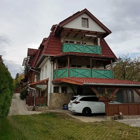 Kaktusz 4*
