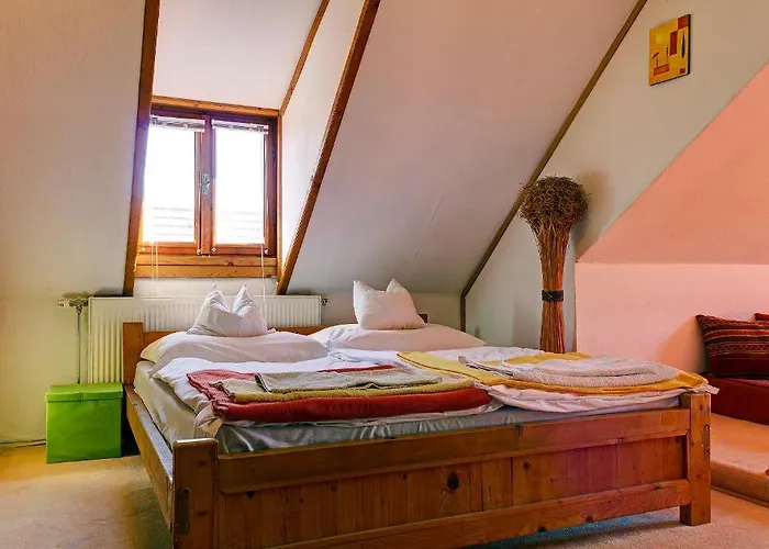 ゲストハウス Kaktusz ヘーヴィーズ